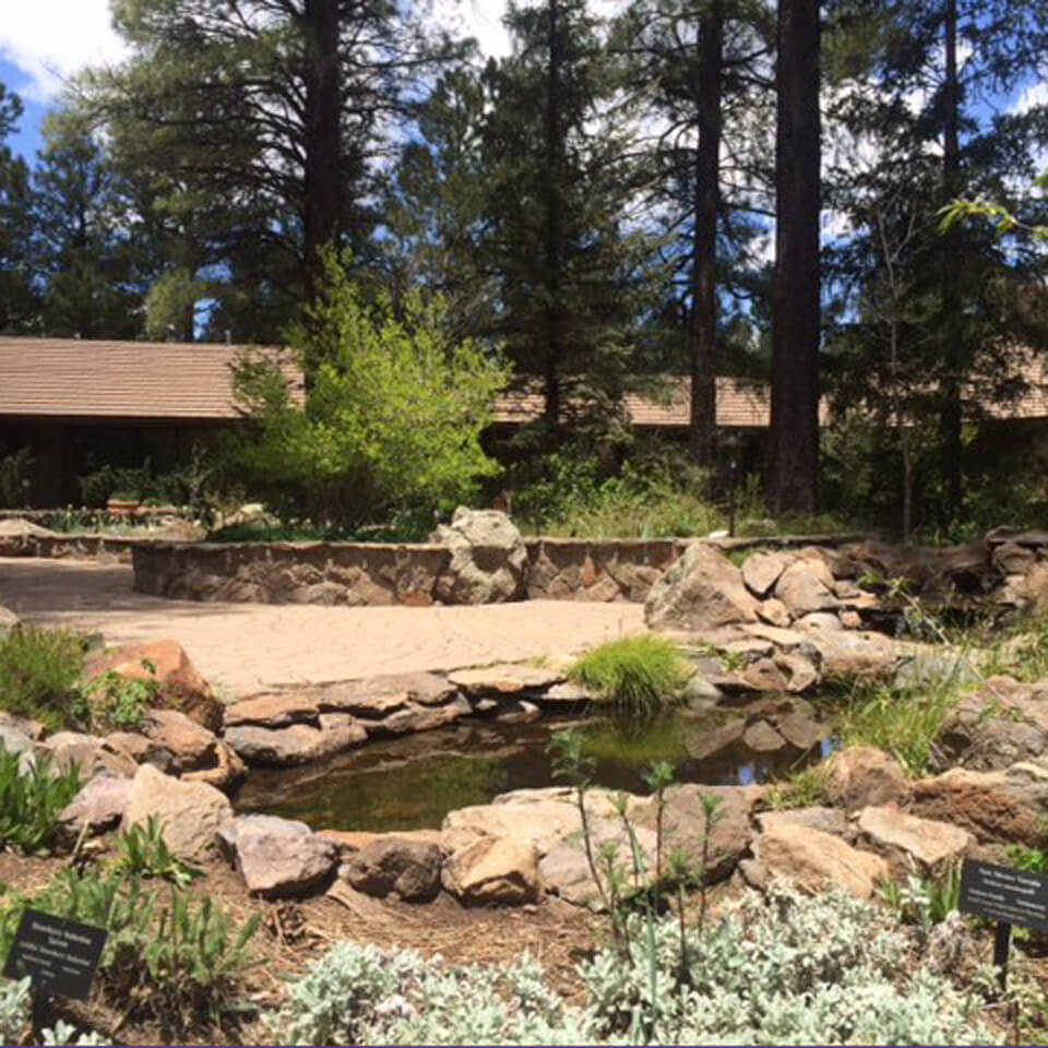 learn-the-arboretum-at-flagstaff