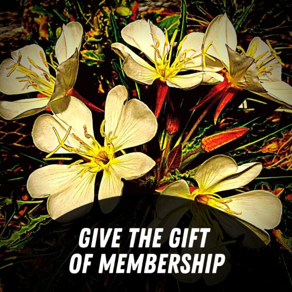 Give the Gift of Membership!