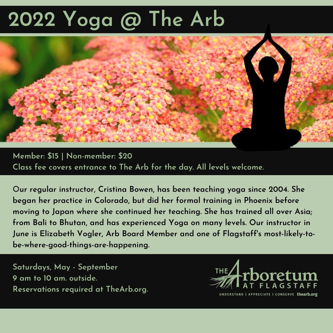Yoga at the Arb 2022