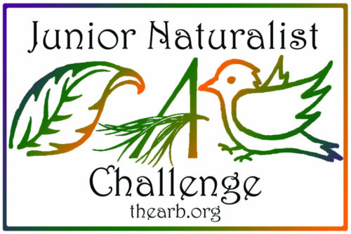 Jr. Naturalist Challenge