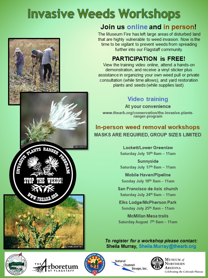 updated 6-11-21 2021 flyer for online community meetings
