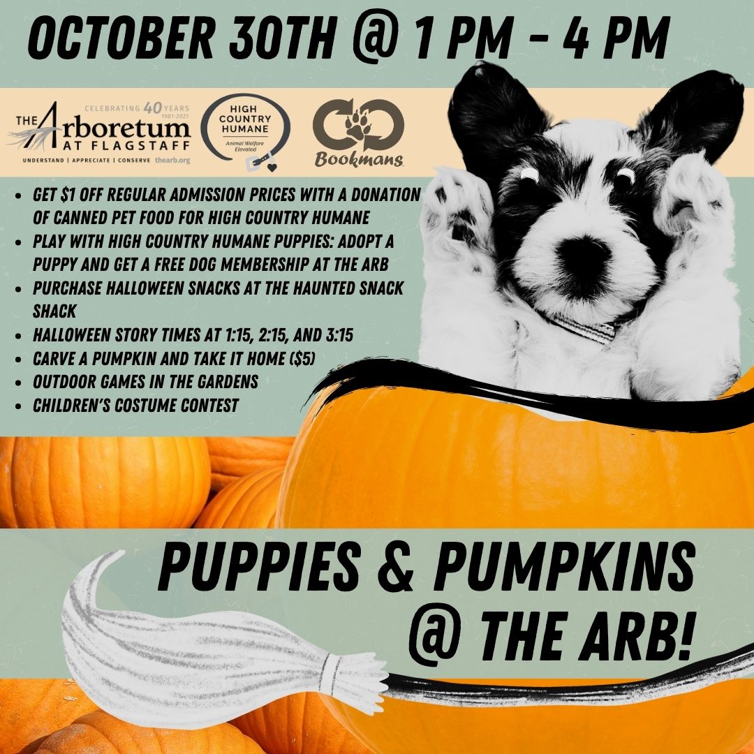 Get $1 off regular admission prices with a donation of canned pet food for High Country Humane Play with High Country Humane Puppies: Adopt a puppy and get a free dog membership at The Arb Purchase halloween Snacks at the haunted snack shack Halloween story times at 1:15, 2:15, and 3:15 Carve a pumpkin and take it home ($5) Outdoor games in the gardens Children's costume contest