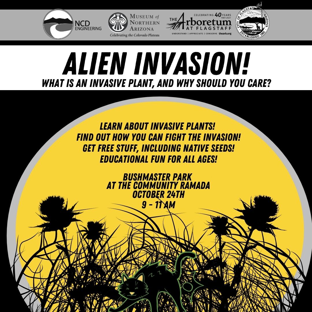 Alien INvasion: Learn about Invasive Plants