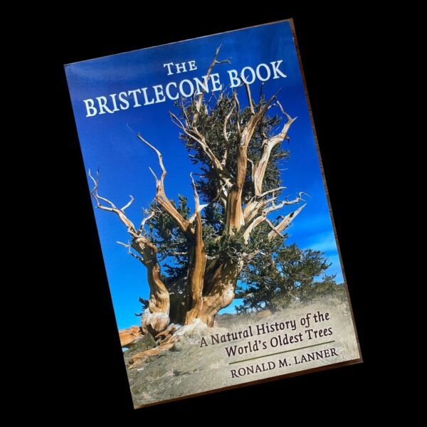 The Bristlecone Book