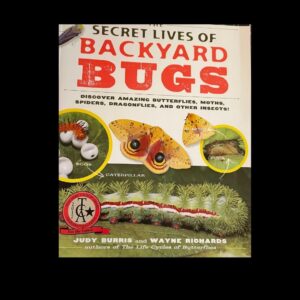 The Secret Lives of Backyard Bugs by Judy Burris
