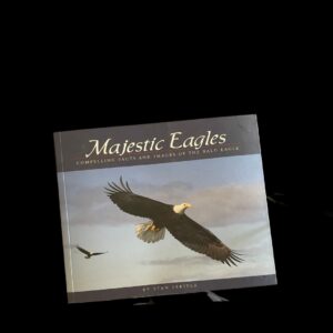 Majestic Eagles by Stan Tekiela