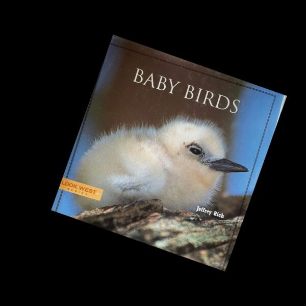 Baby Birds - Nonfiction Book