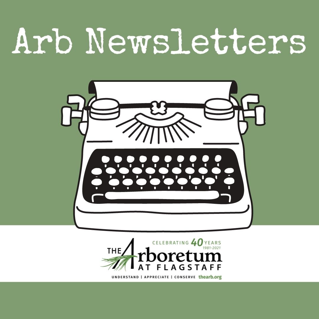 Click here to read back copies of our newsletter