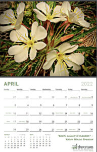 Arb Calendar sample pages - April