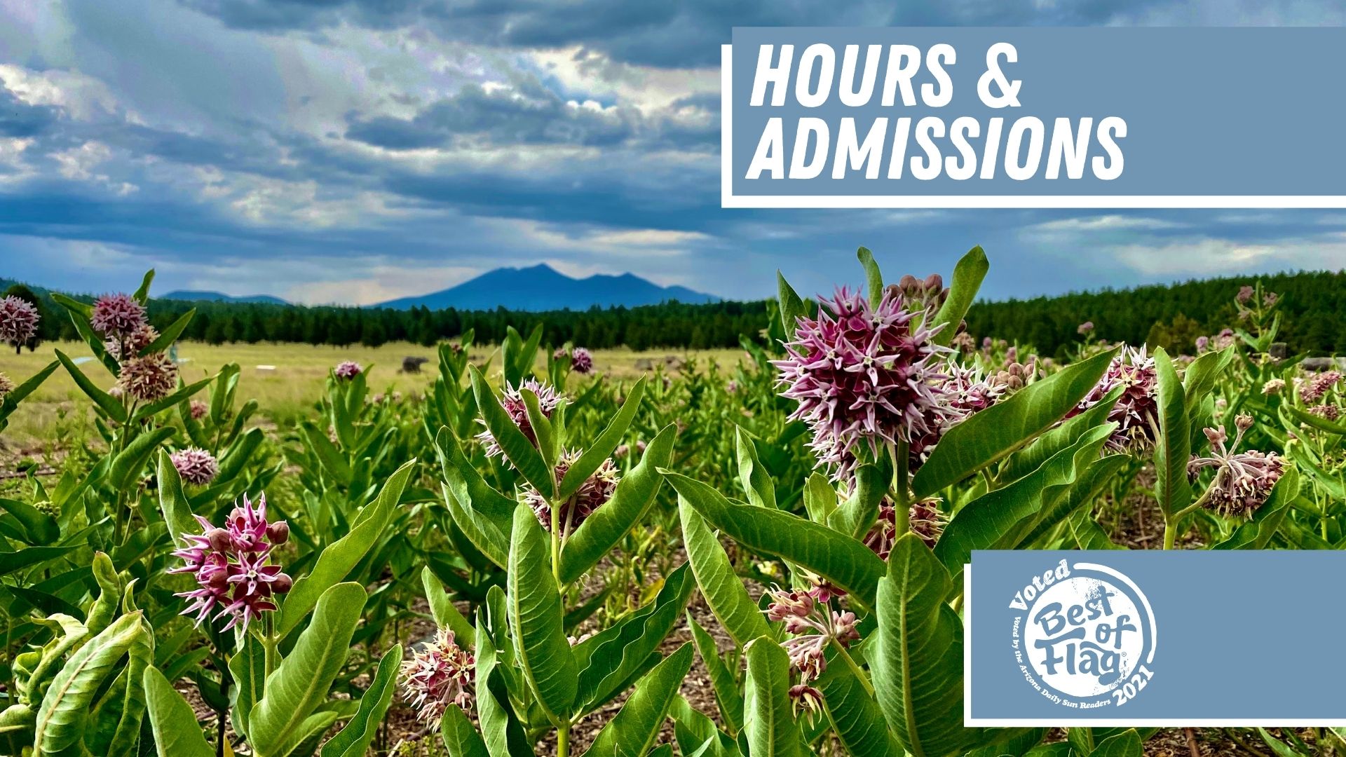 Hours and Admissions