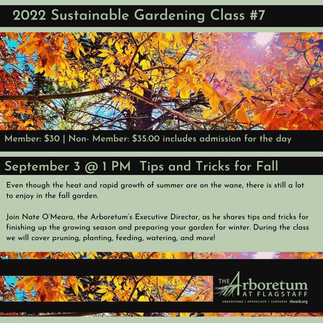 Tips and tricks for fall