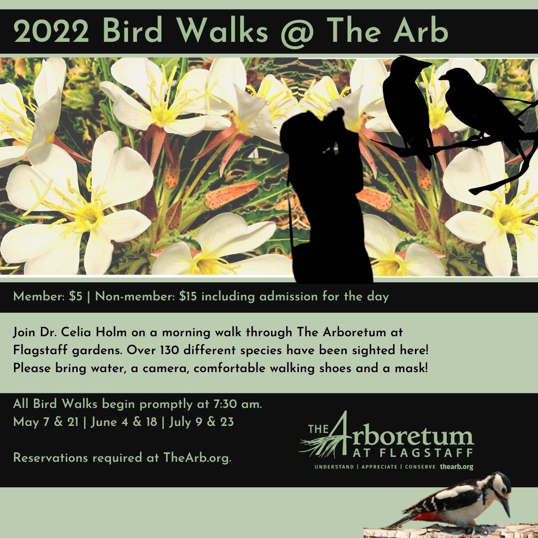 Bird Walks @ The Arb