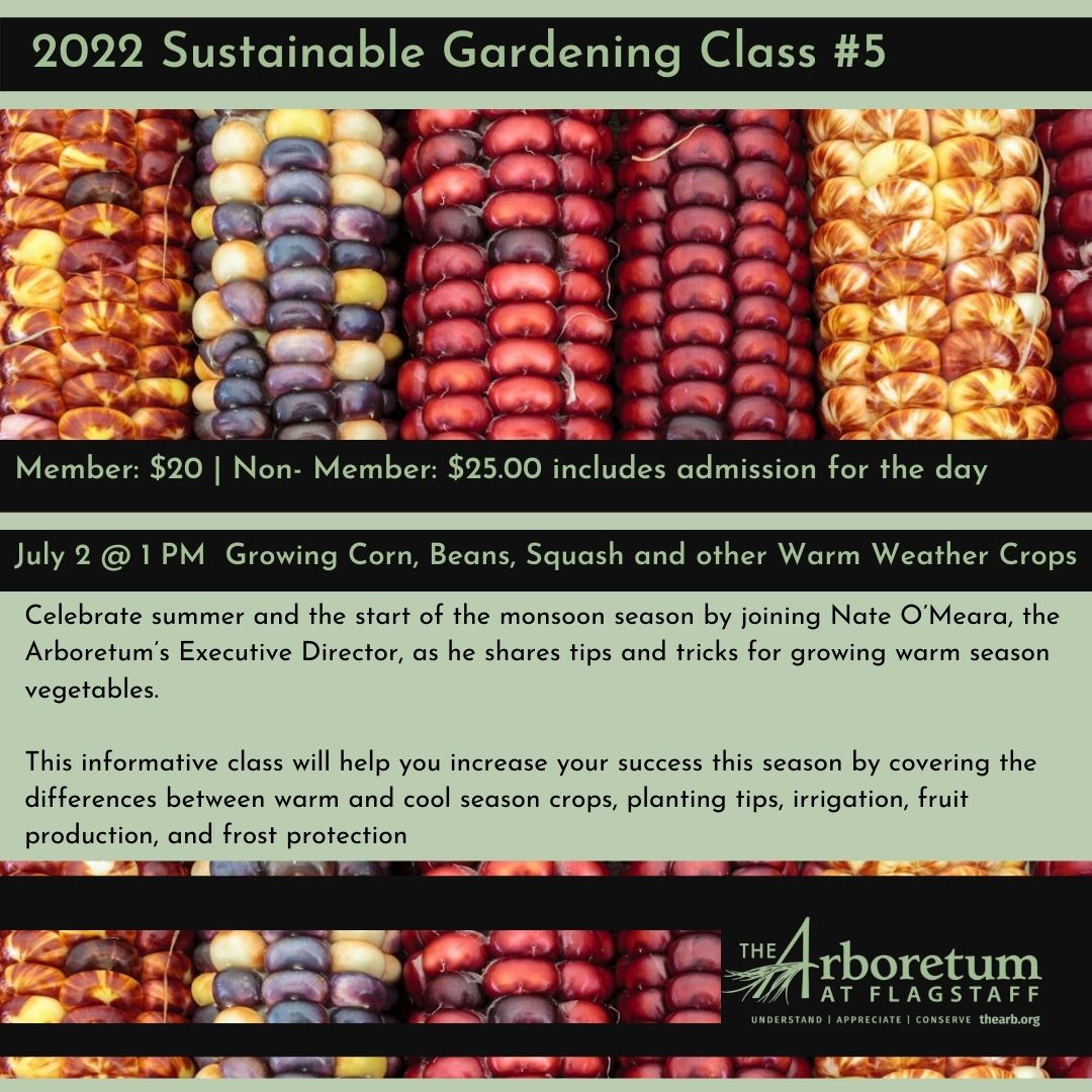 Sustainable Gardening Class