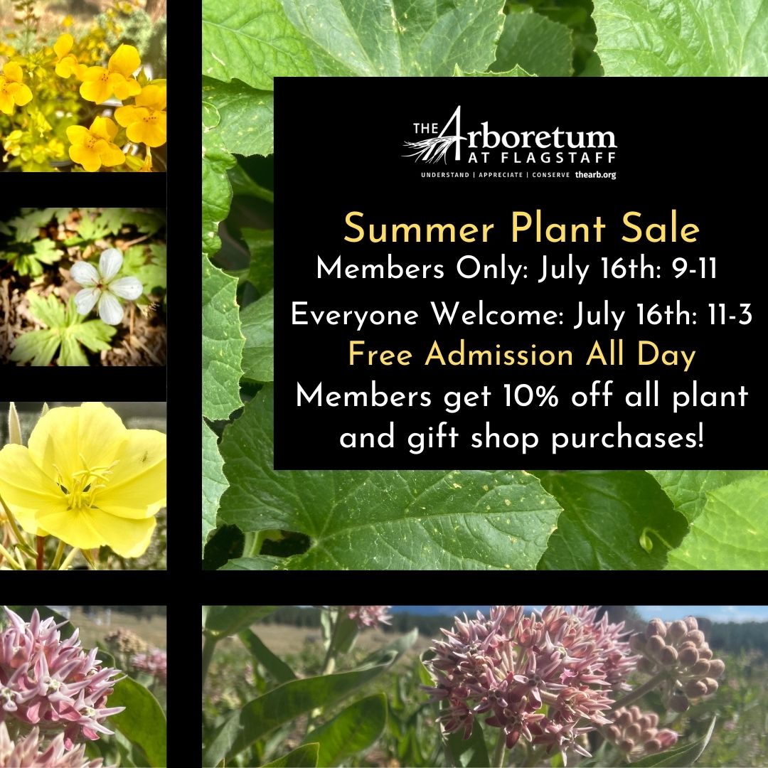 Plant Sale July 16, 9-3