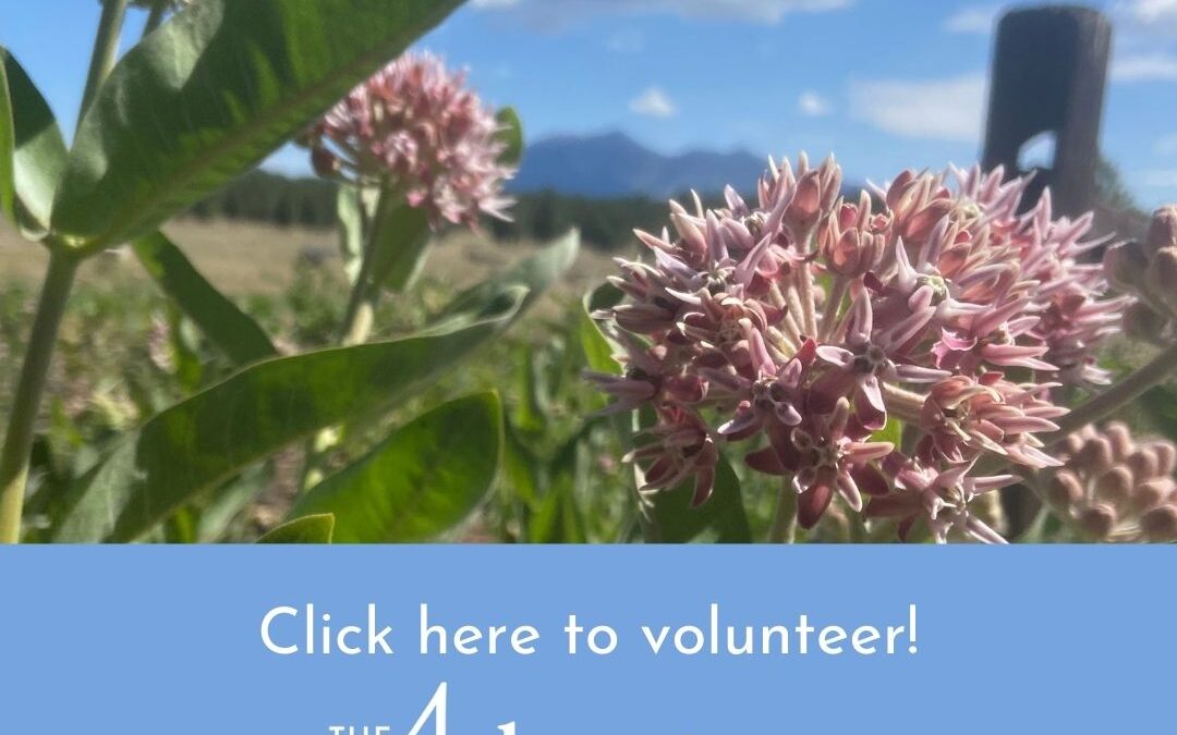 Volunteer Welcome Back and Recruitment event