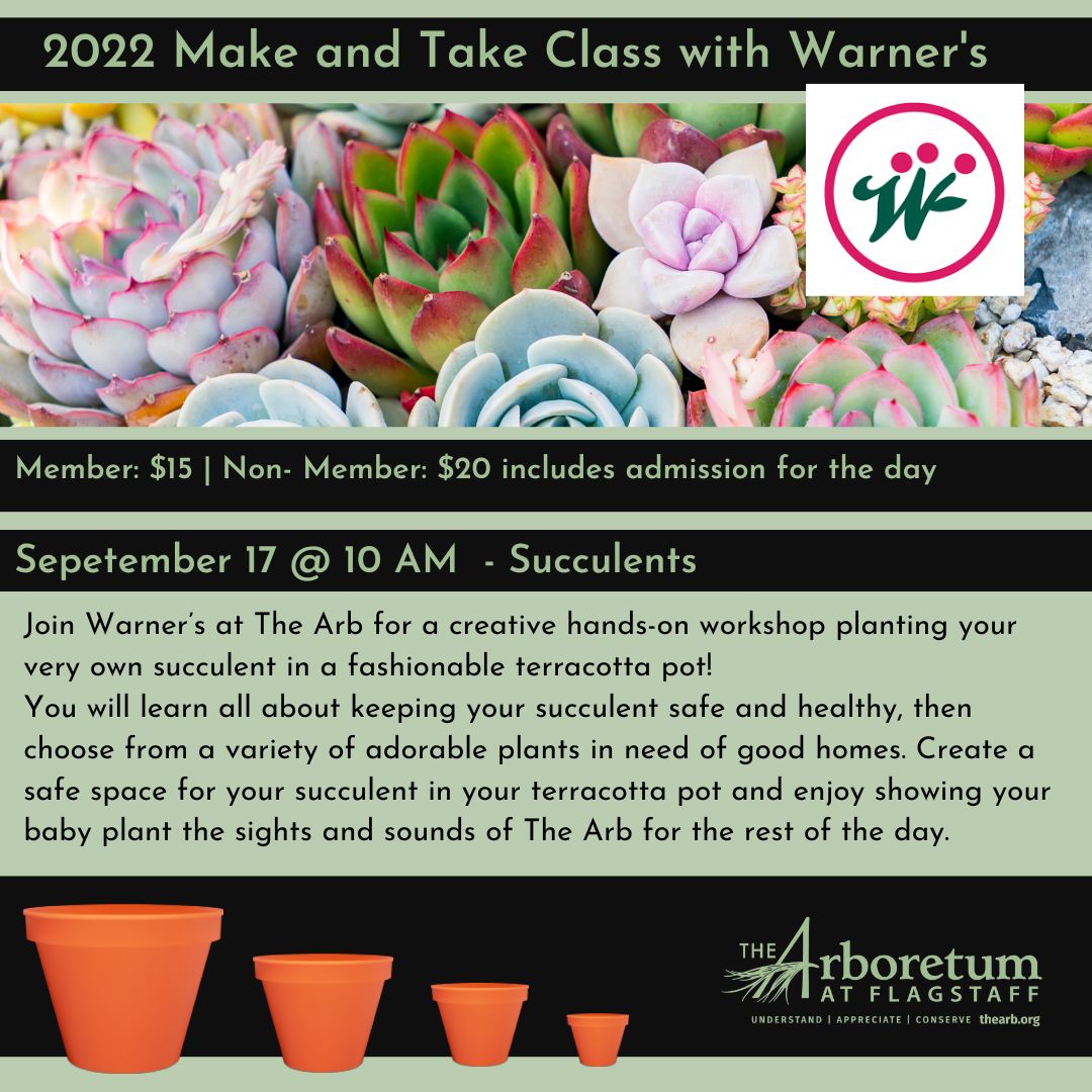 Succulent Make and take September 17th