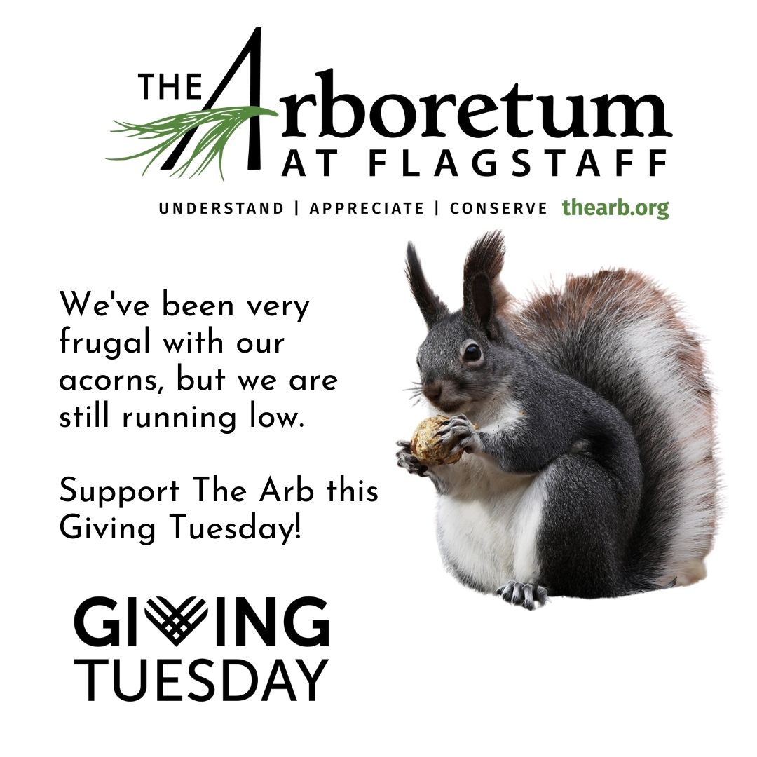 Support The Arb This giving Tuesday