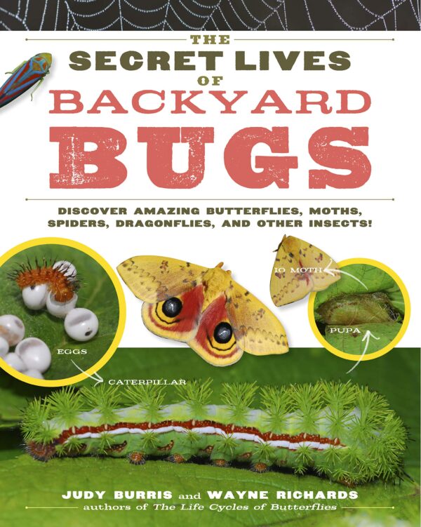 Secret lives of backyard bugs