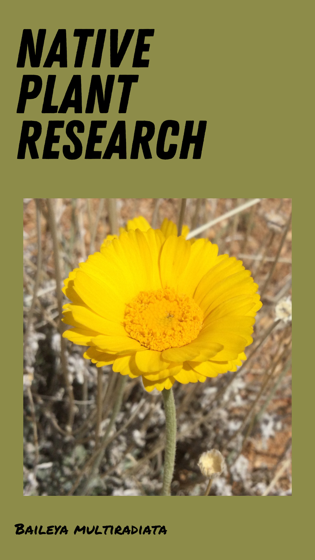 Native Plant Research