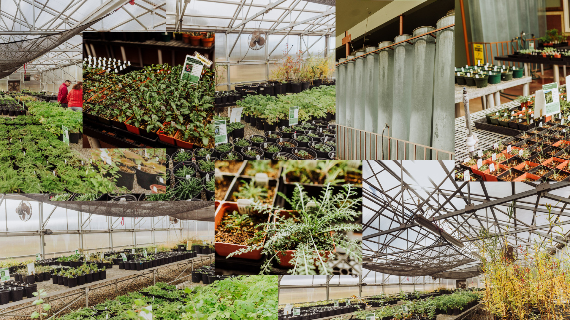 collage of growing plants and research facilities