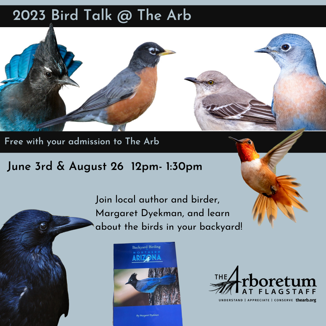 Bird Talk 2023