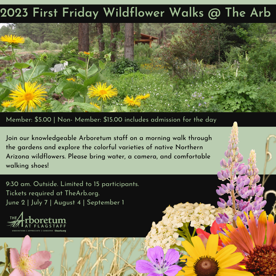 Wildflower Walks 2023