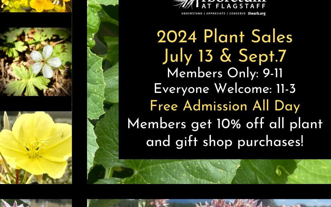 Plant Sale September 7