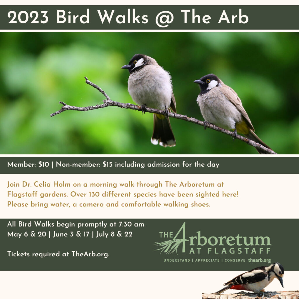 Bird Walk 2023