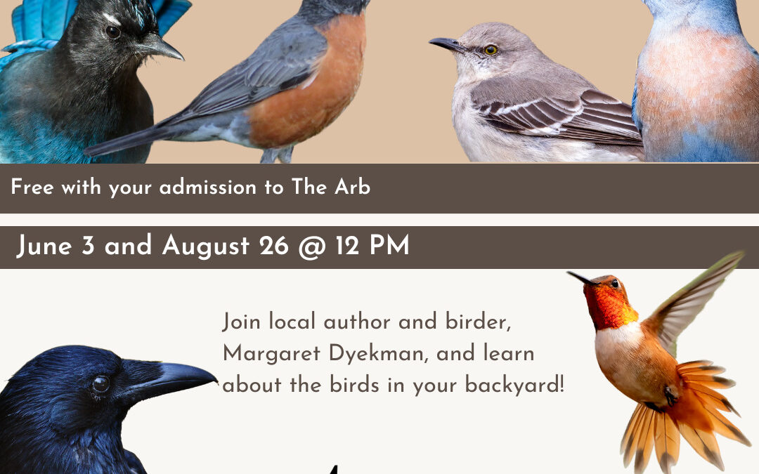 Bird Talk with Margaret Dyekman 8/26