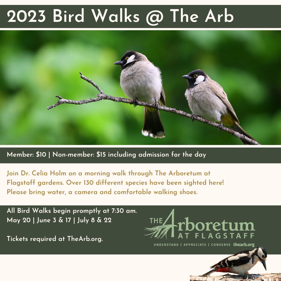2023 Bird Walks