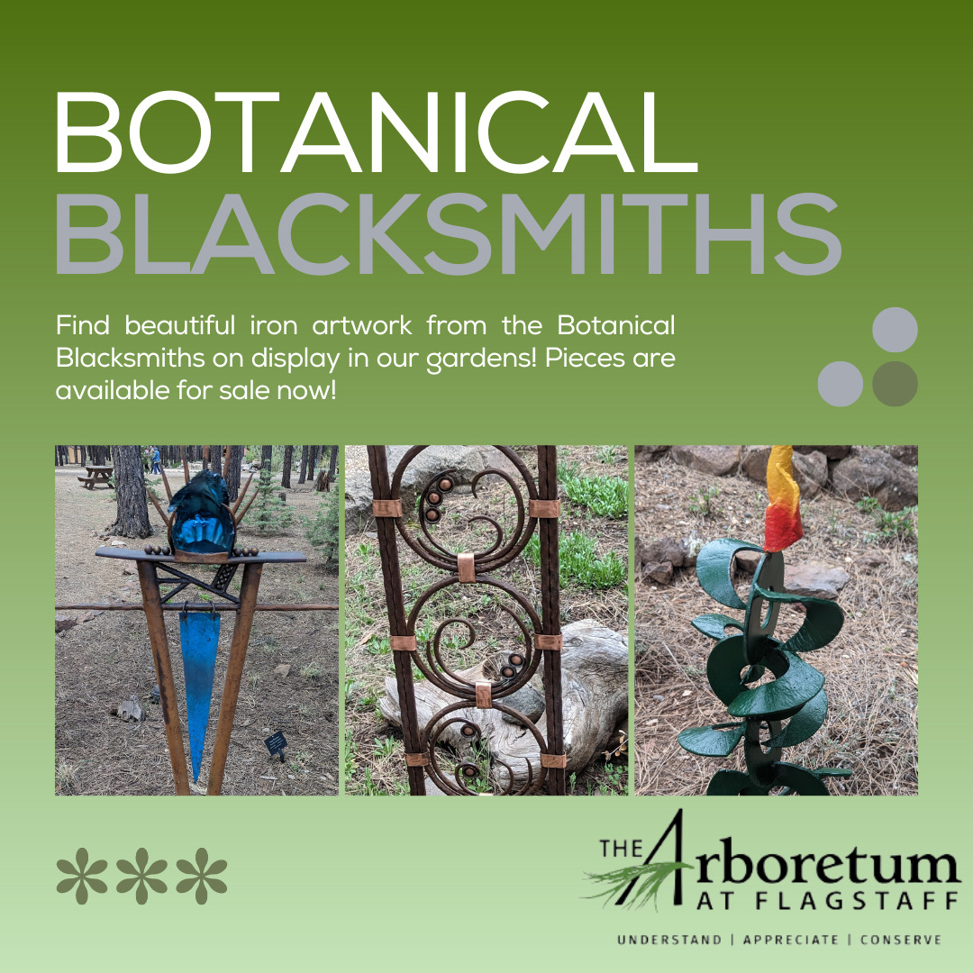 Botanical Blacksmith Exhibit May - Sept.