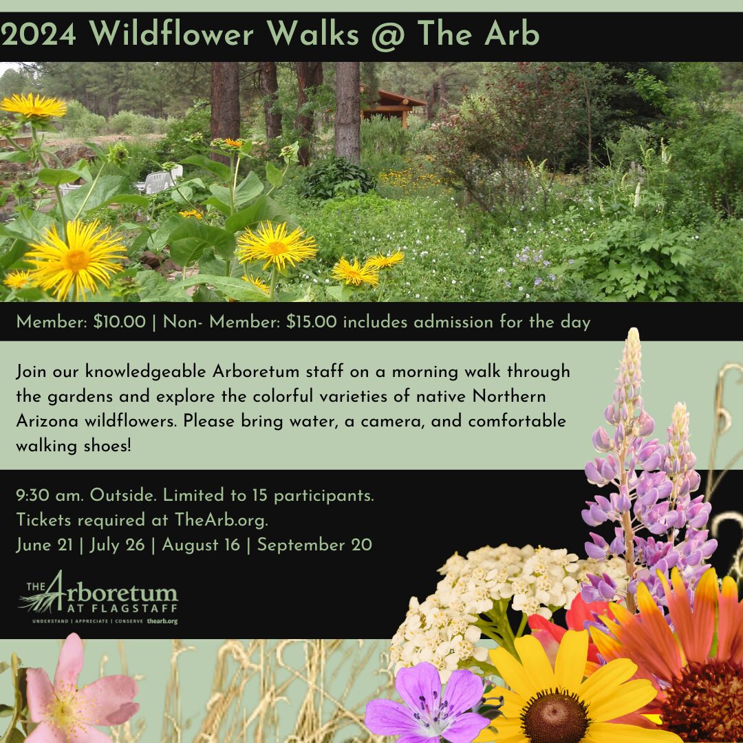 2024 Wildflower Walk