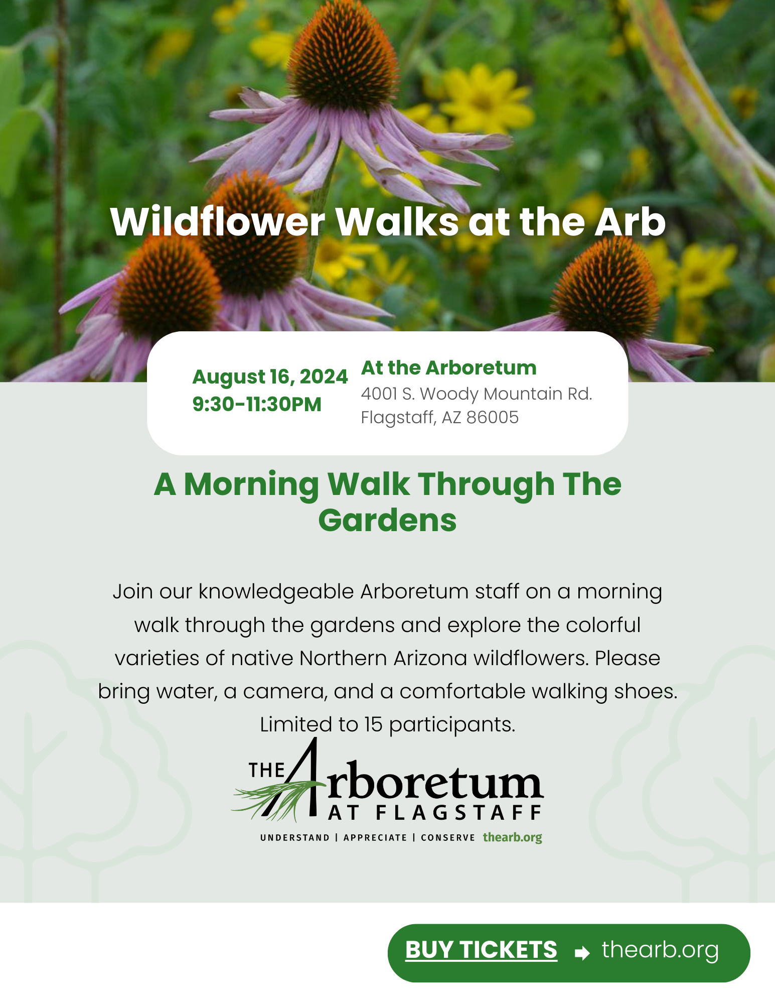 Wildflower Walk 8/16/24