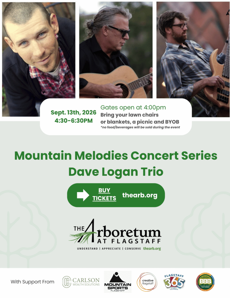 Dave Logan Trio