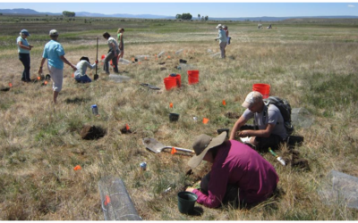 Foundations of Rare Plant Reintroductions