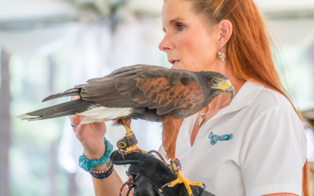 Raptor Education