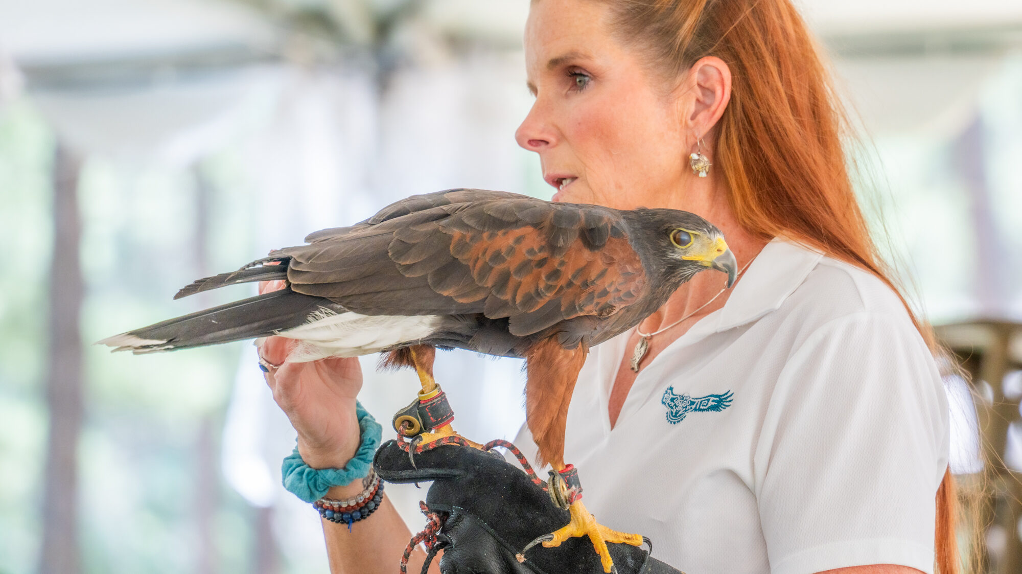 Raptor Education