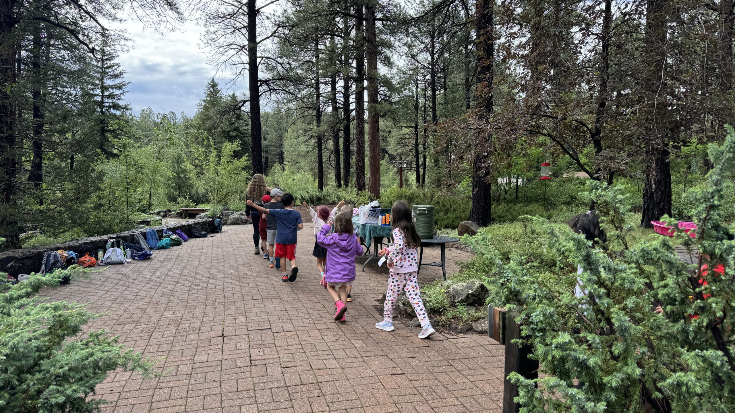 Explore, Discover, and Learn at The Arboretum at Flagstaff!