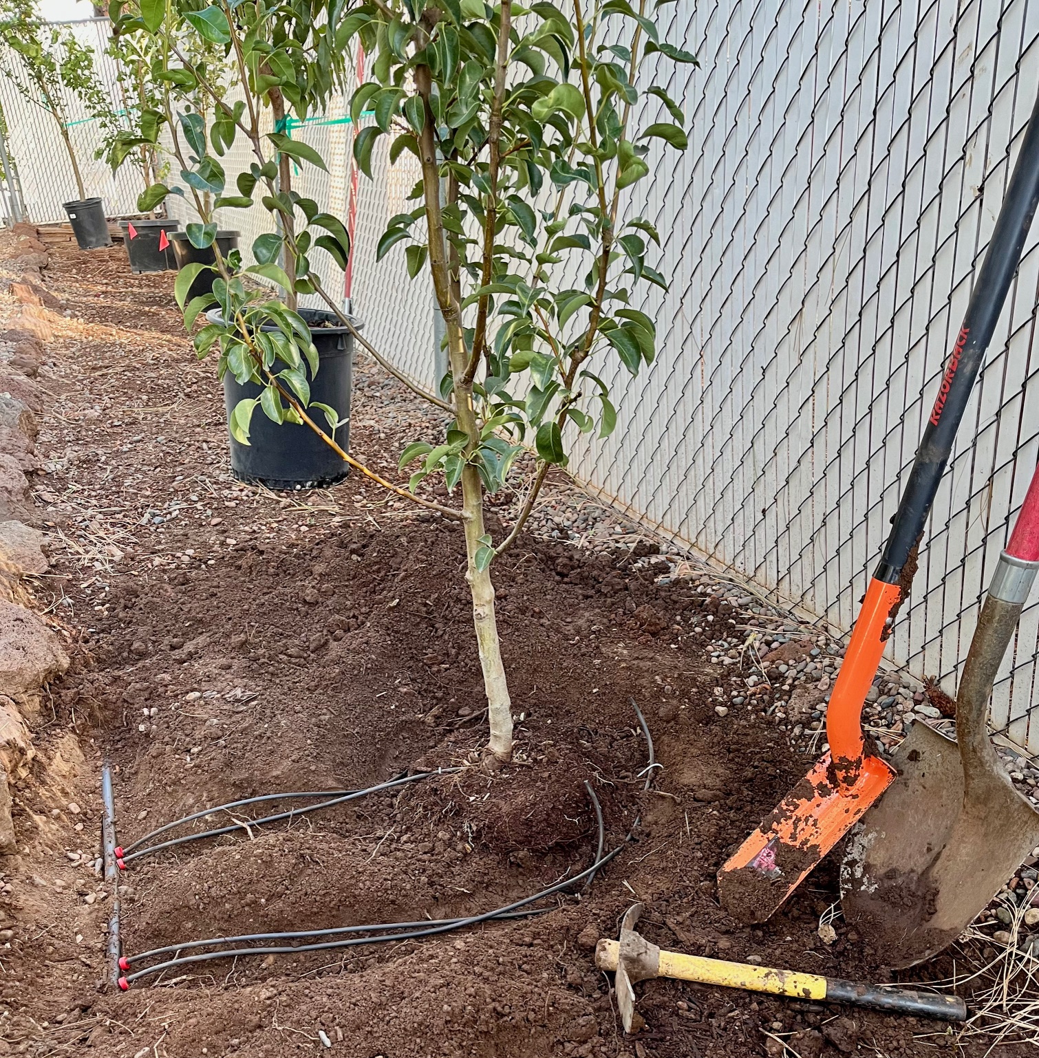 Drip Irrigation Pointers