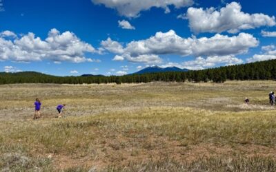 Field Trips at the Arboretum: Adapting Right Alongside Nature