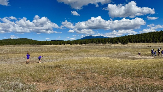Field Trips at the Arboretum: Adapting Right Alongside Nature