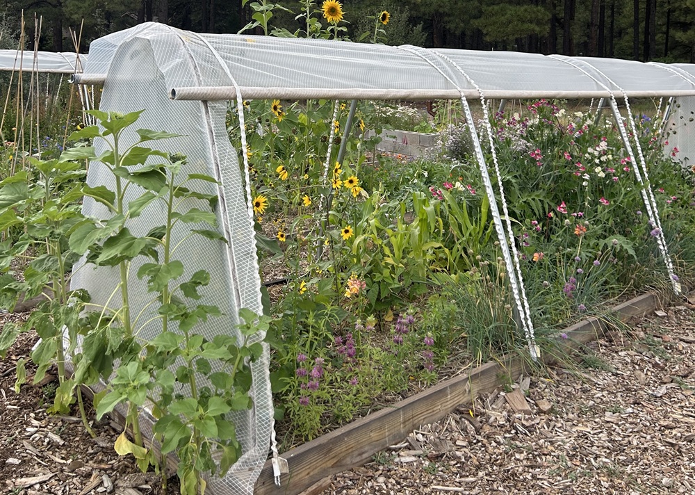 A Season with Steady Harvest MiniTunnels