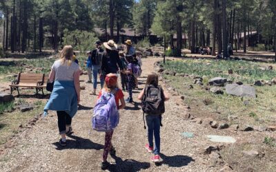 Education Department Year in Review: Growing Curiosity