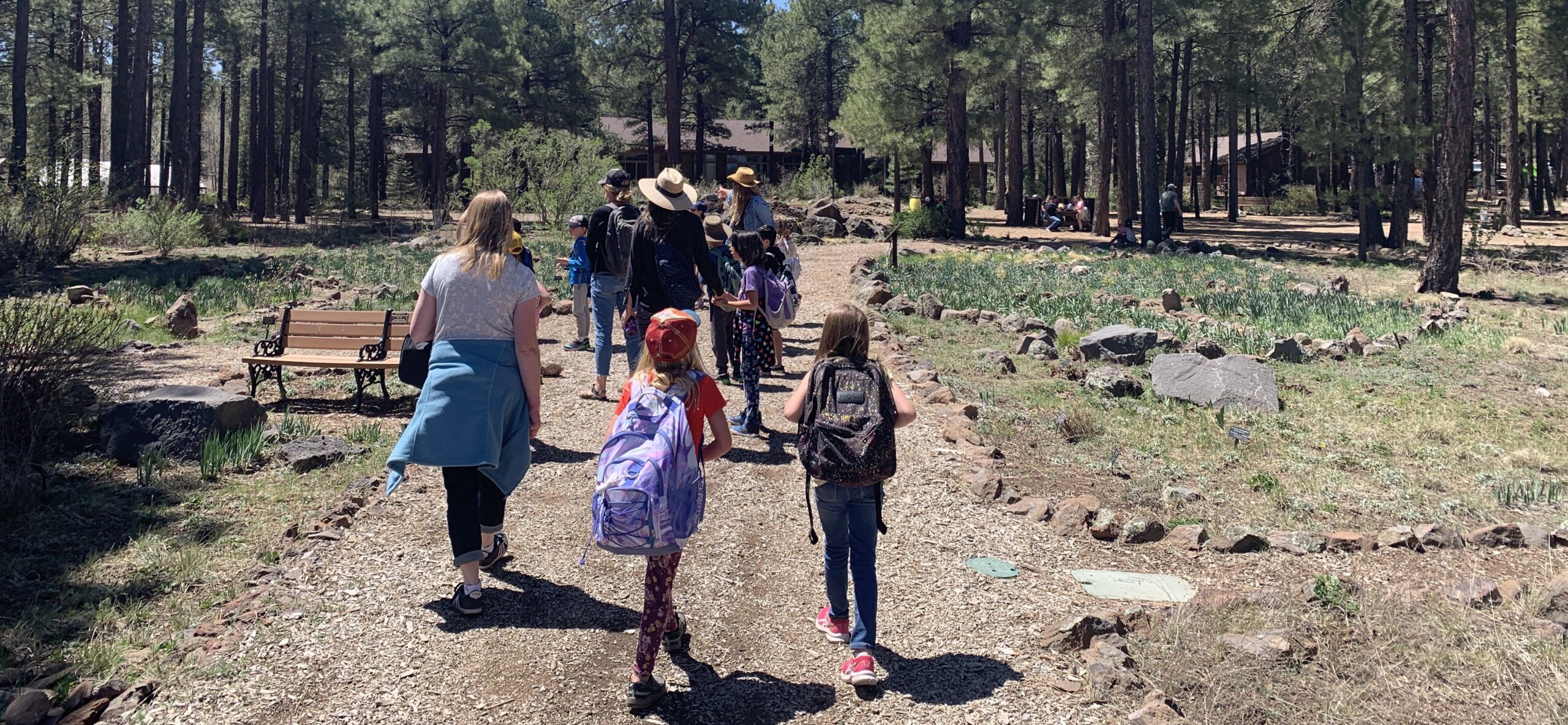 Education Department Year in Review: Growing Curiosity