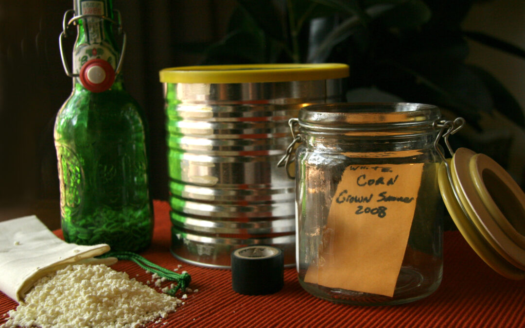 How to Create a Home Seedbank