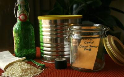 How to Create a Home Seedbank