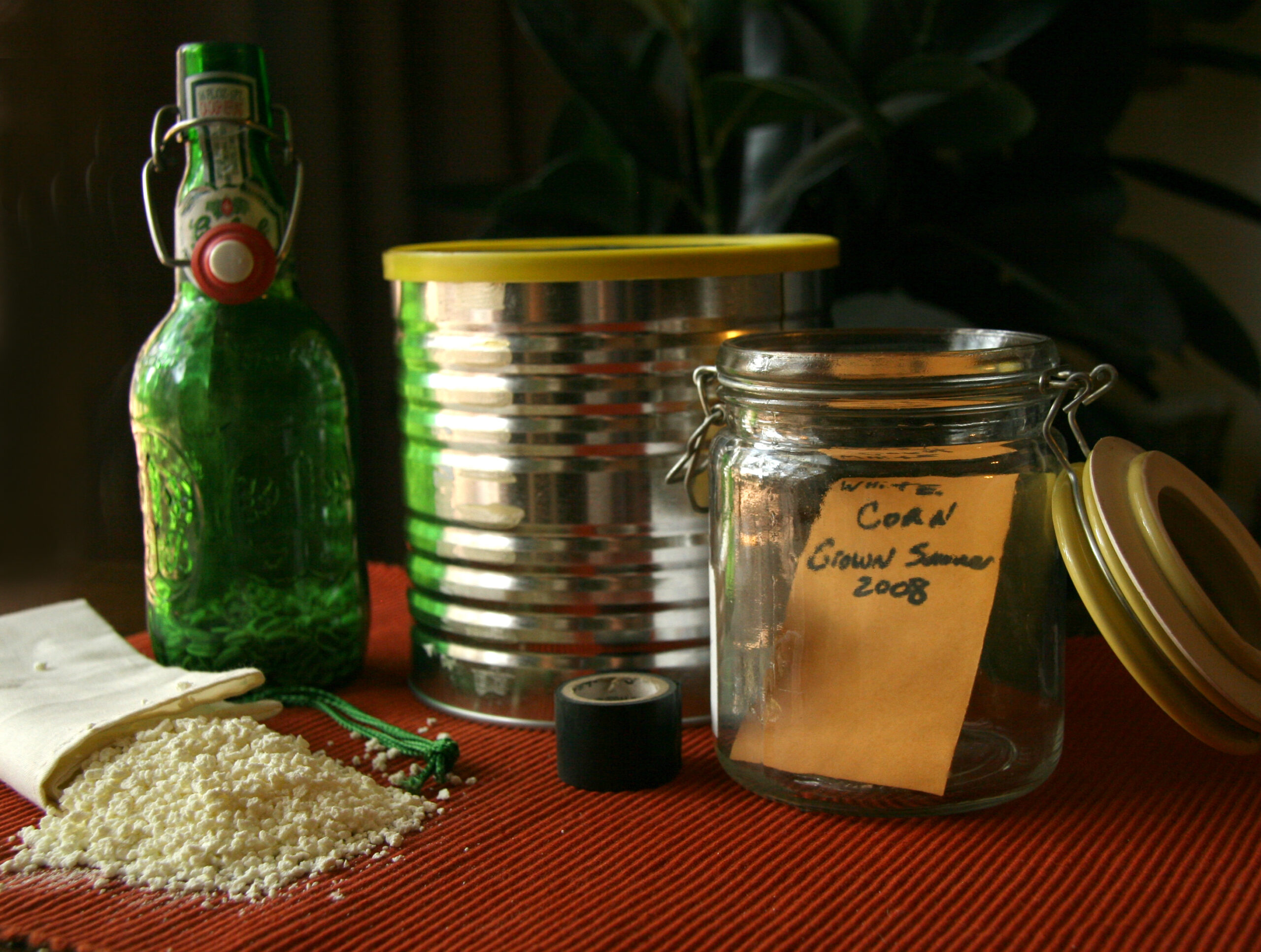 How to Create a Home Seedbank