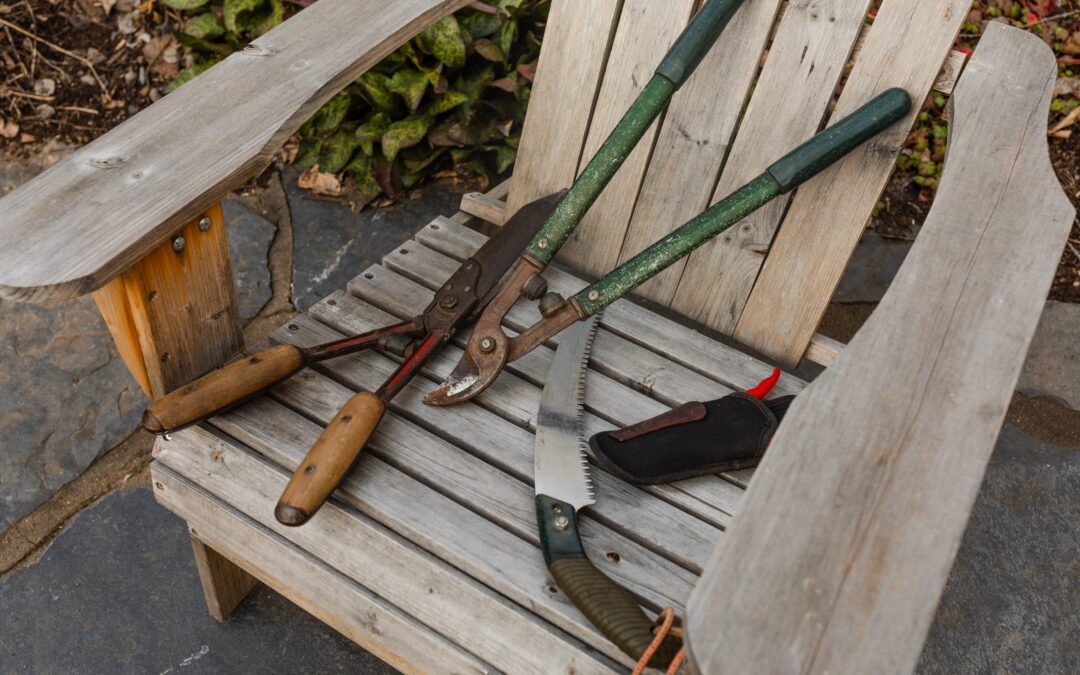 Pruning Deciduous Shrubs