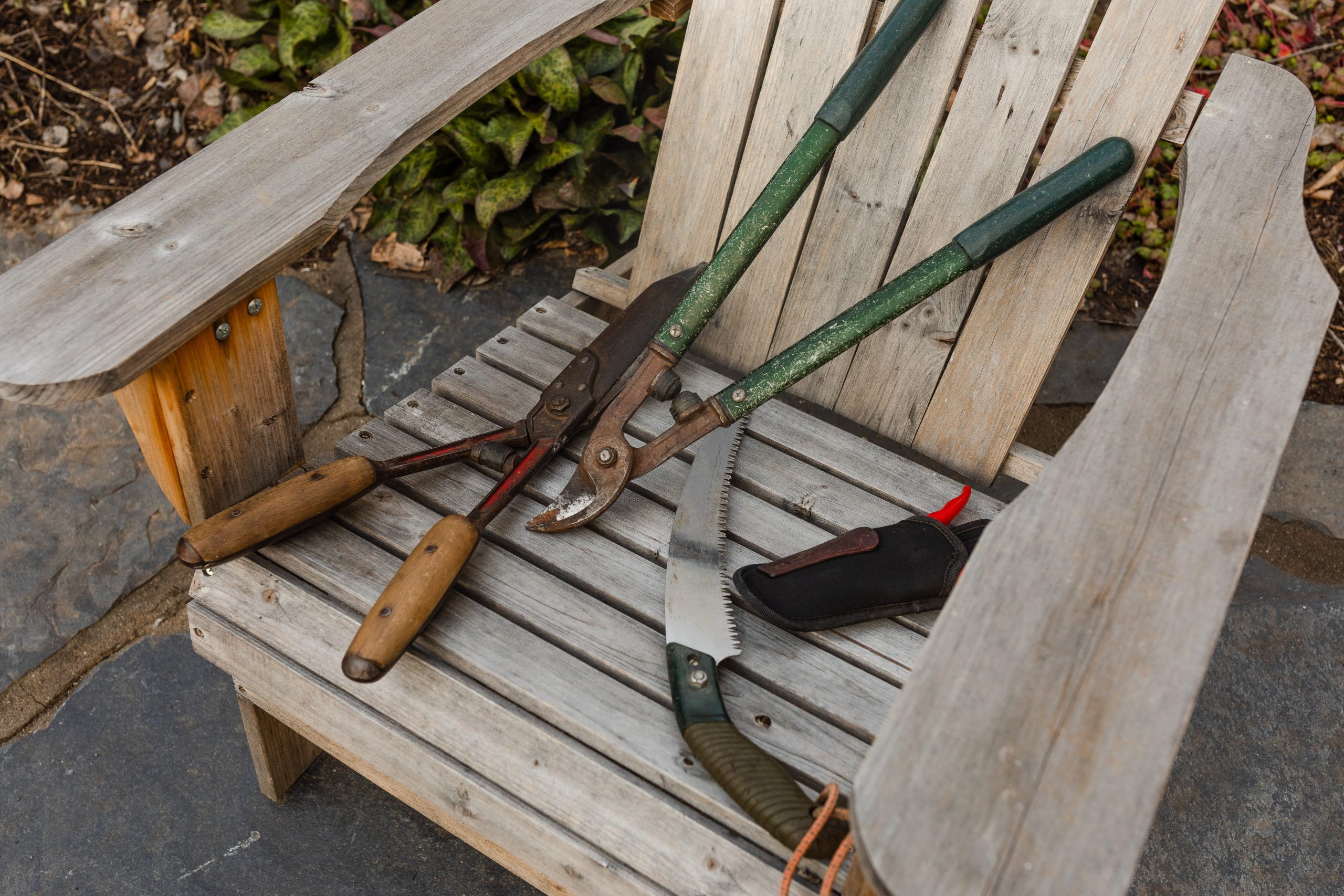 Pruning Deciduous Shrubs