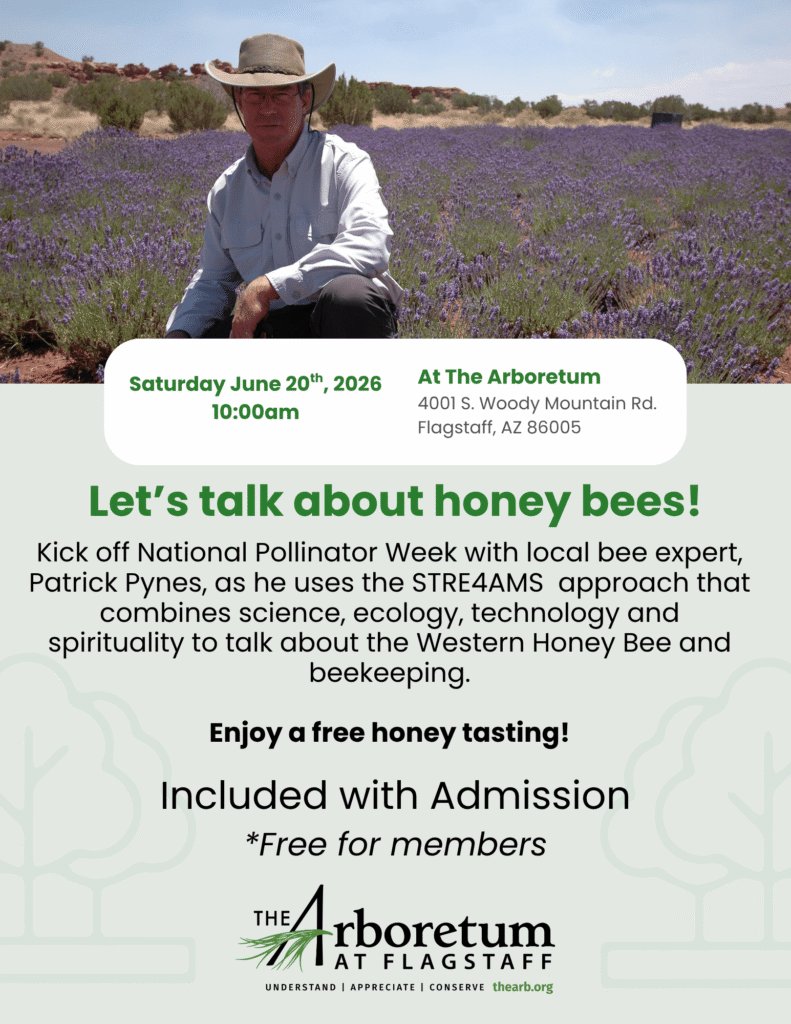 BeeTalk
